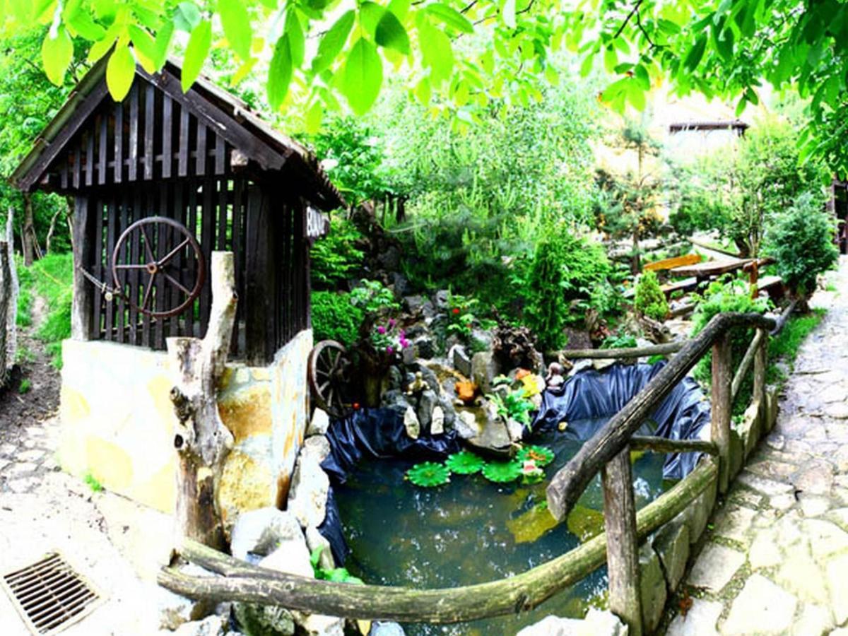 斯塔拉沃德尼采住宿加早餐旅馆 Klanjec 外观 照片